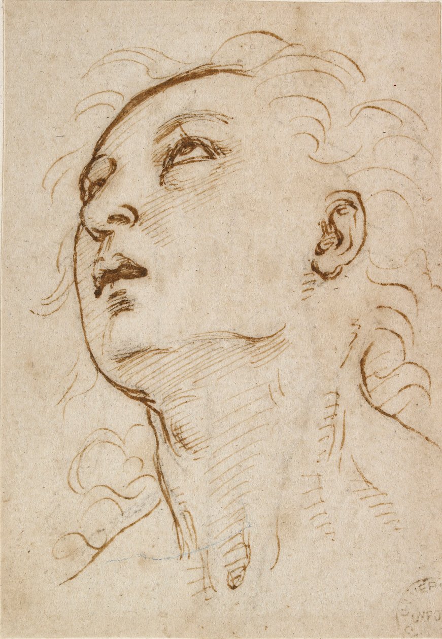 Hlava mladého muže hledícího vzhůru, c1497-c1504 od Raphael