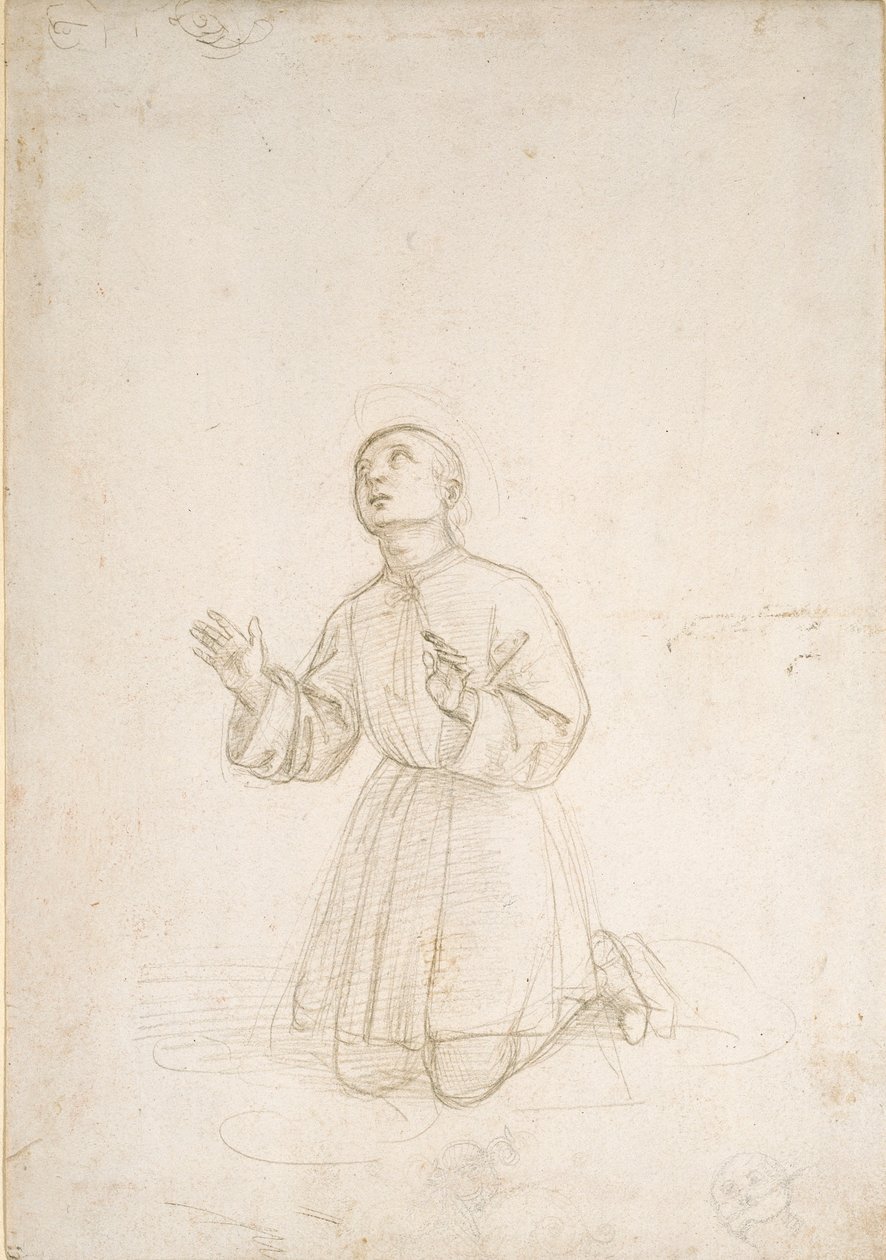 Klečící postava mládí, c1503 od Raphael