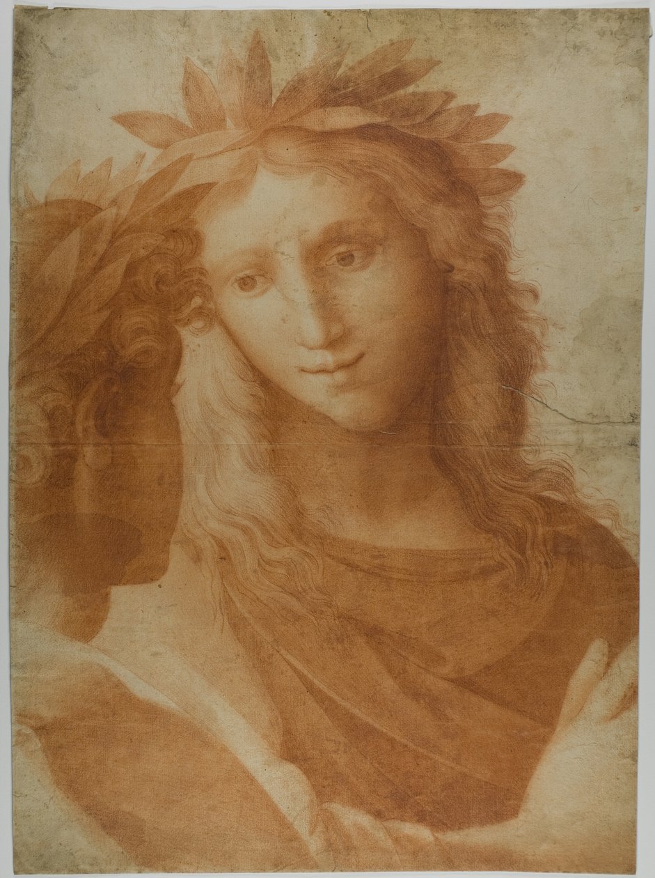 Muž a žena korunováni Laurel od Raphael