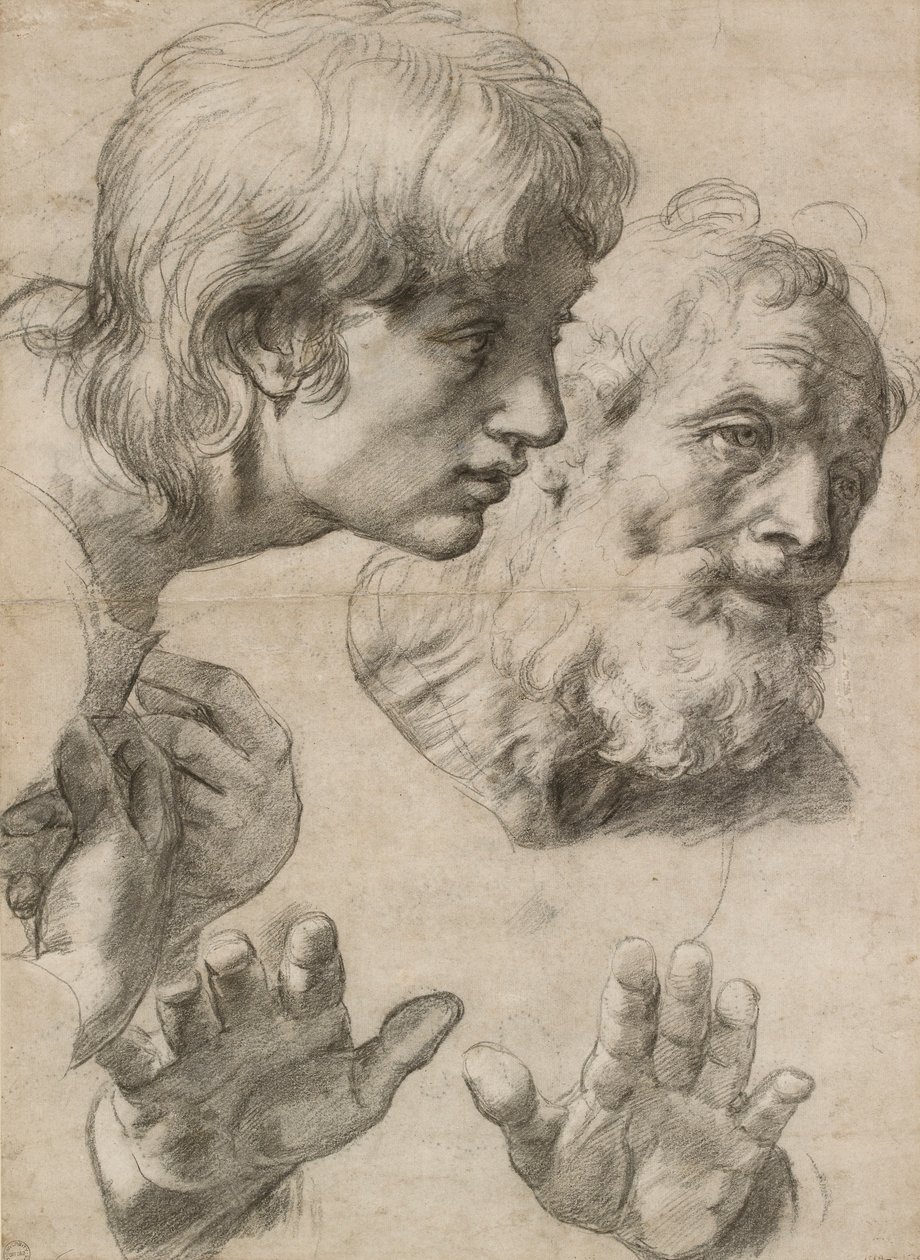 Studie o hlavách dvou apoštolů a jejich rukou, 16. století od Raphael