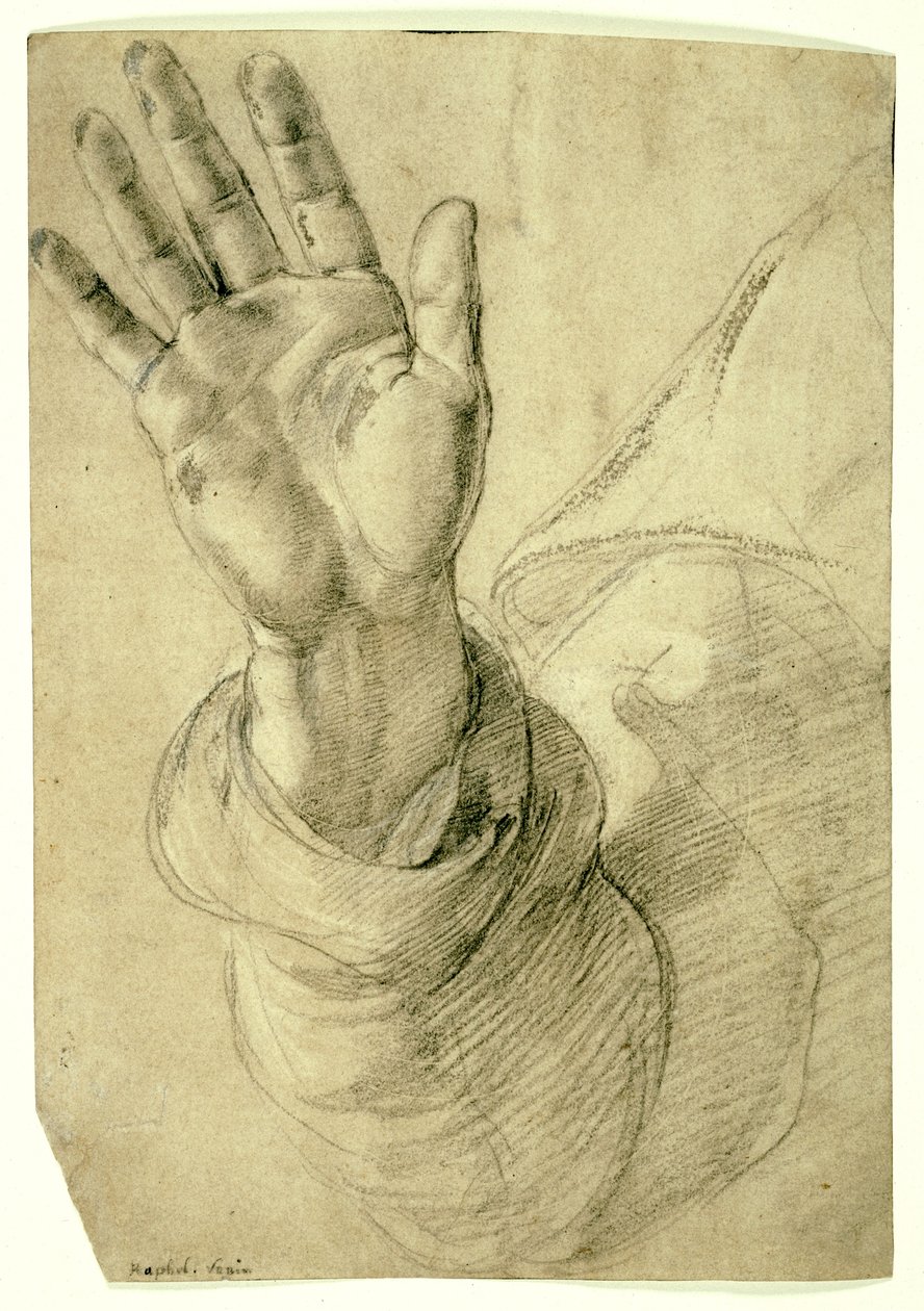 Zvednutá pravá ruka s dlaní směřující ven: Studie pro svatého Petra, 1518–20 od Raphael