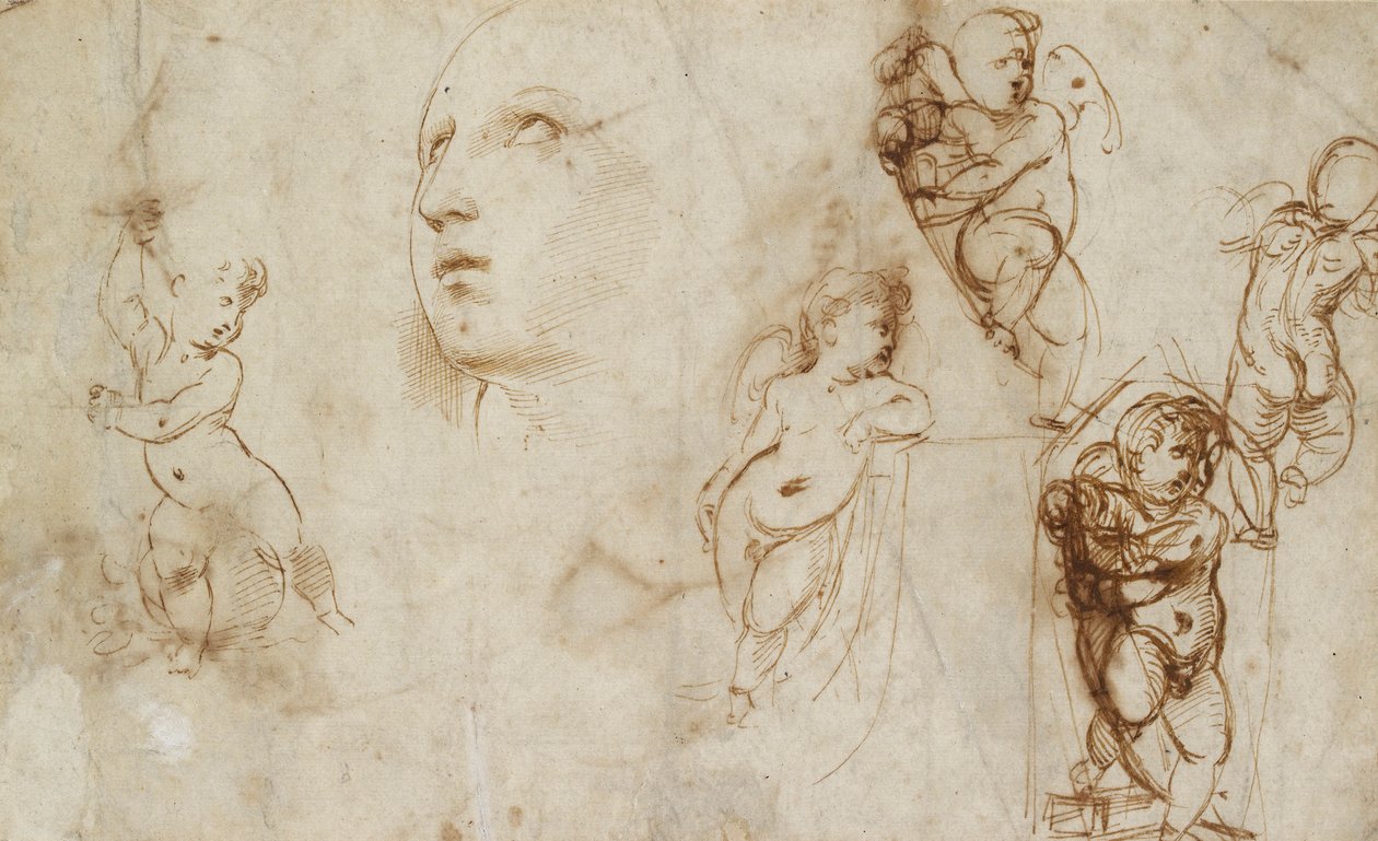 Různé studie, hlavně pro Borghese-Beckford St Catherine, počátek 16. století od Raphael