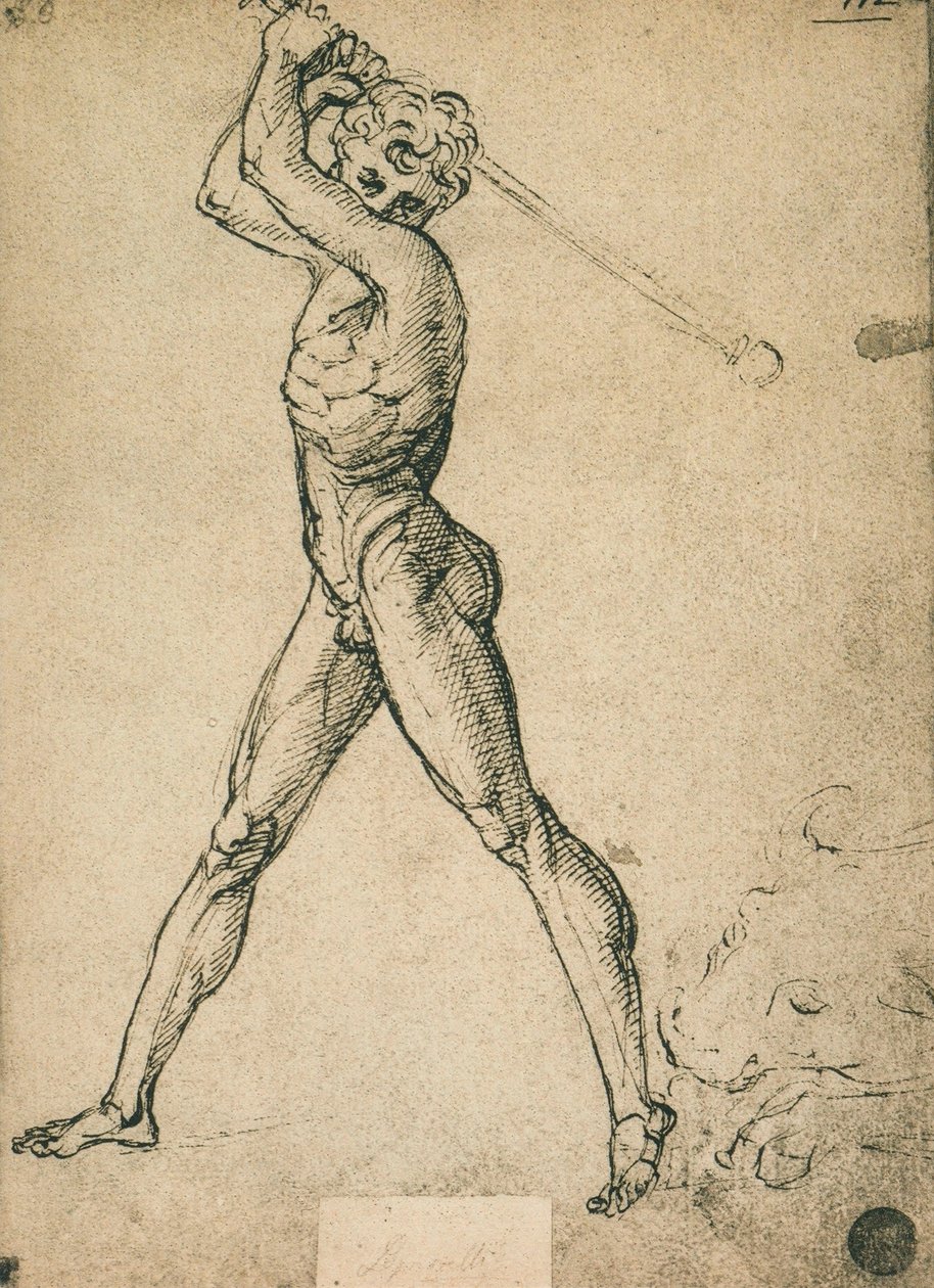 Herkules zabije býka; kresba od Raphaela. Gallerie dellAccademia, Benátky od Raffaello Sanzio Raphael