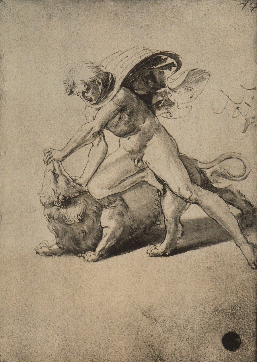 Samson bojuje se lvem; kresba od Raphaela. Gallerie dellAccademia, Benátky od Raffaello Sanzio Raphael
