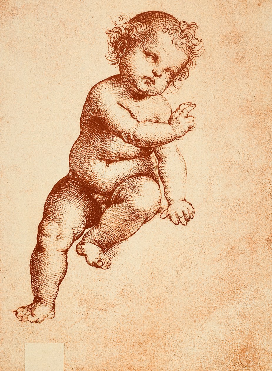 Studie pro Ježíška, kresba Raphael. Gallerie dellAccademia, Benátky od Raffaello Sanzio Raphael
