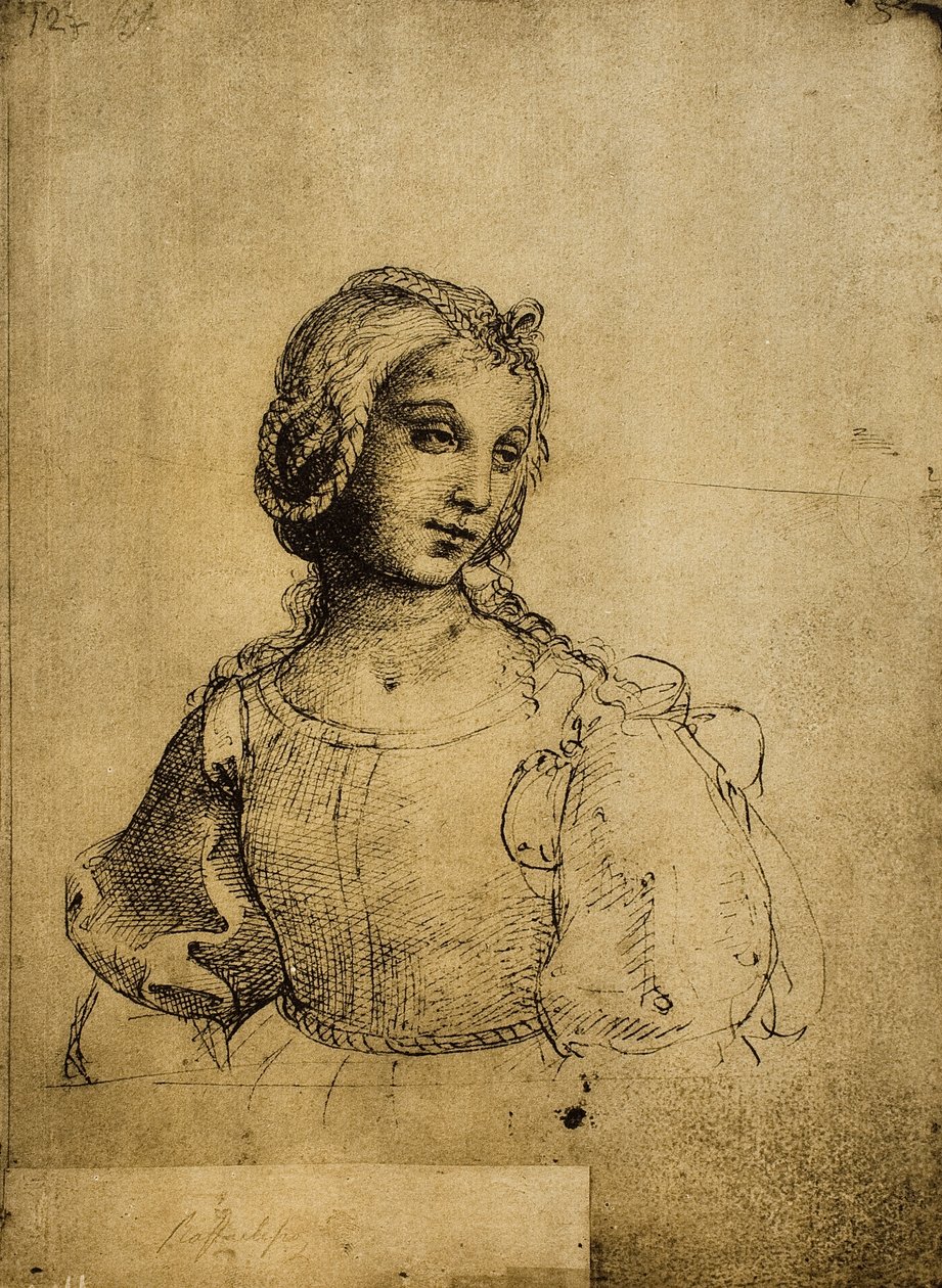 Studie ženy; kresba od Raphaela. Gallerie dellAccademia, Benátky od Raffaello Sanzio Raphael