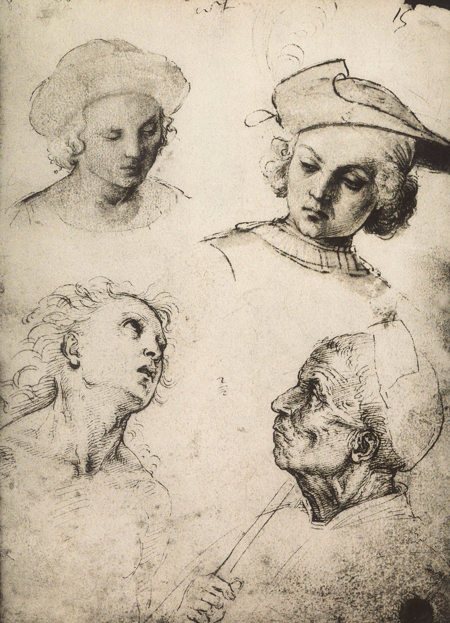 Studie čtyř mužských tváří; kresba od Raphaela. Gallerie dellAccademia, Benátky od Raffaello Sanzio Raphael