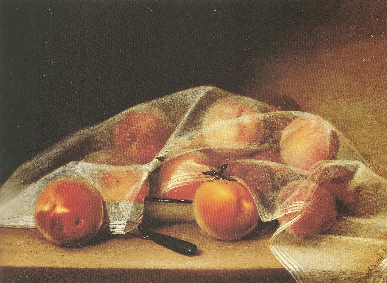 Ovocné kousky s broskvemi přikryté kapesníkem-raphaelle peale od Raphaelle Peale