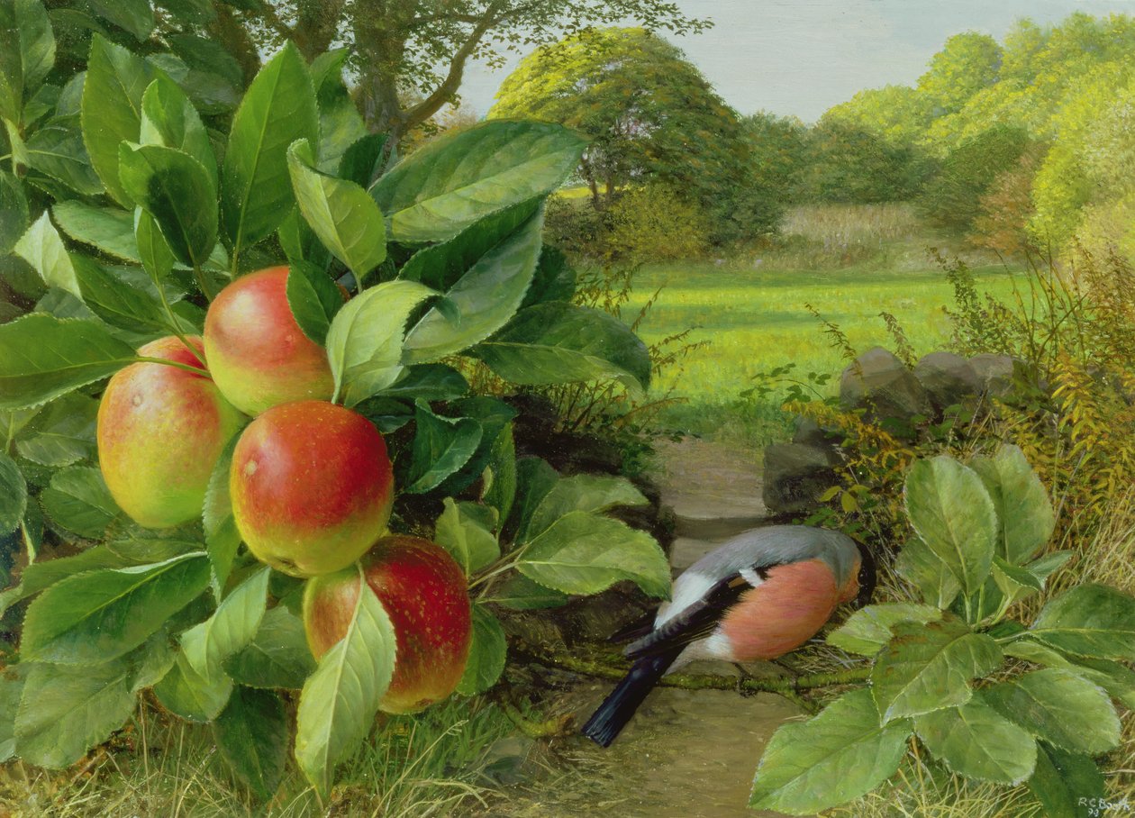 Katja Apple a Bullfinch od Raymond Booth