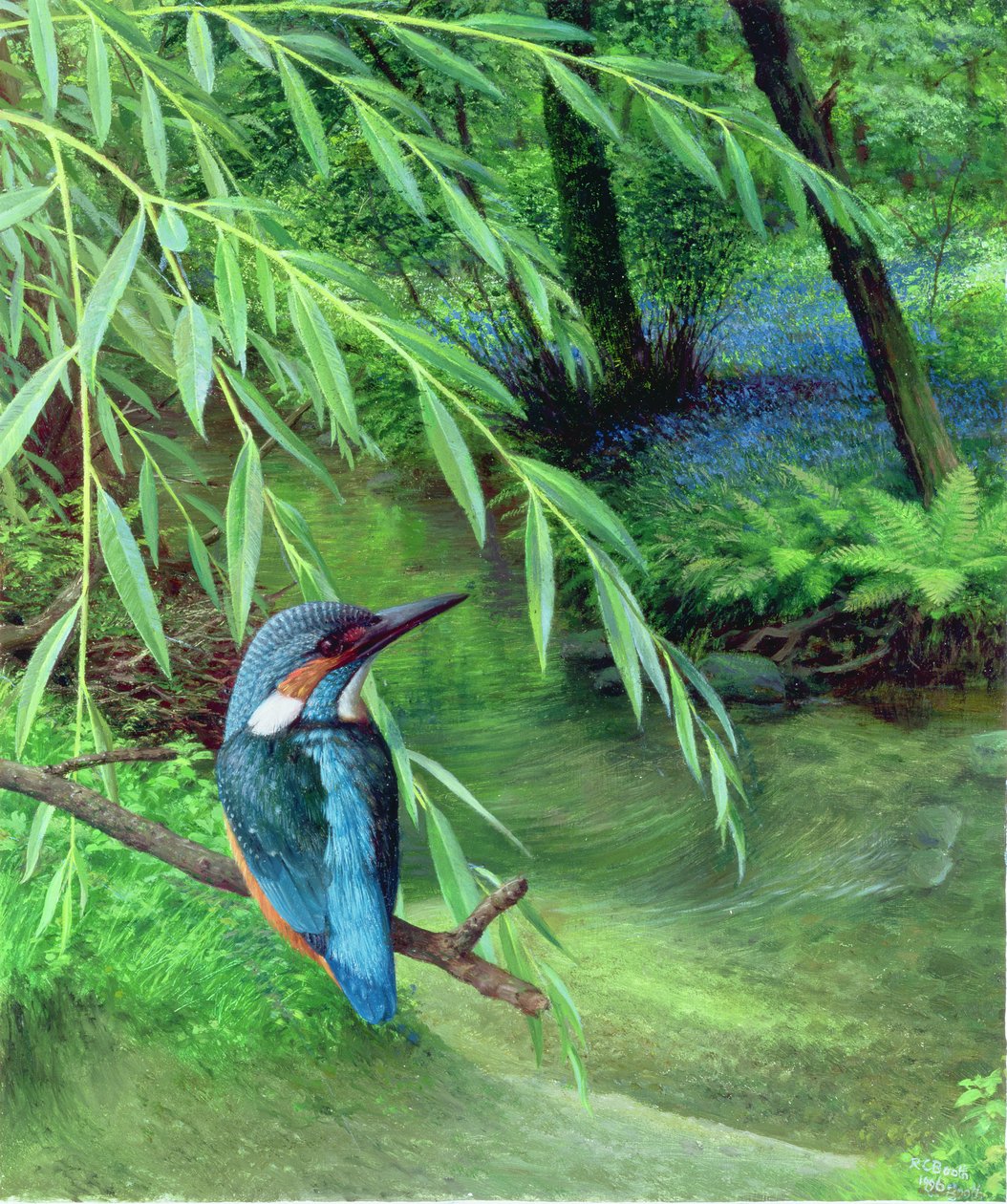 Kingfisher od Raymond Booth