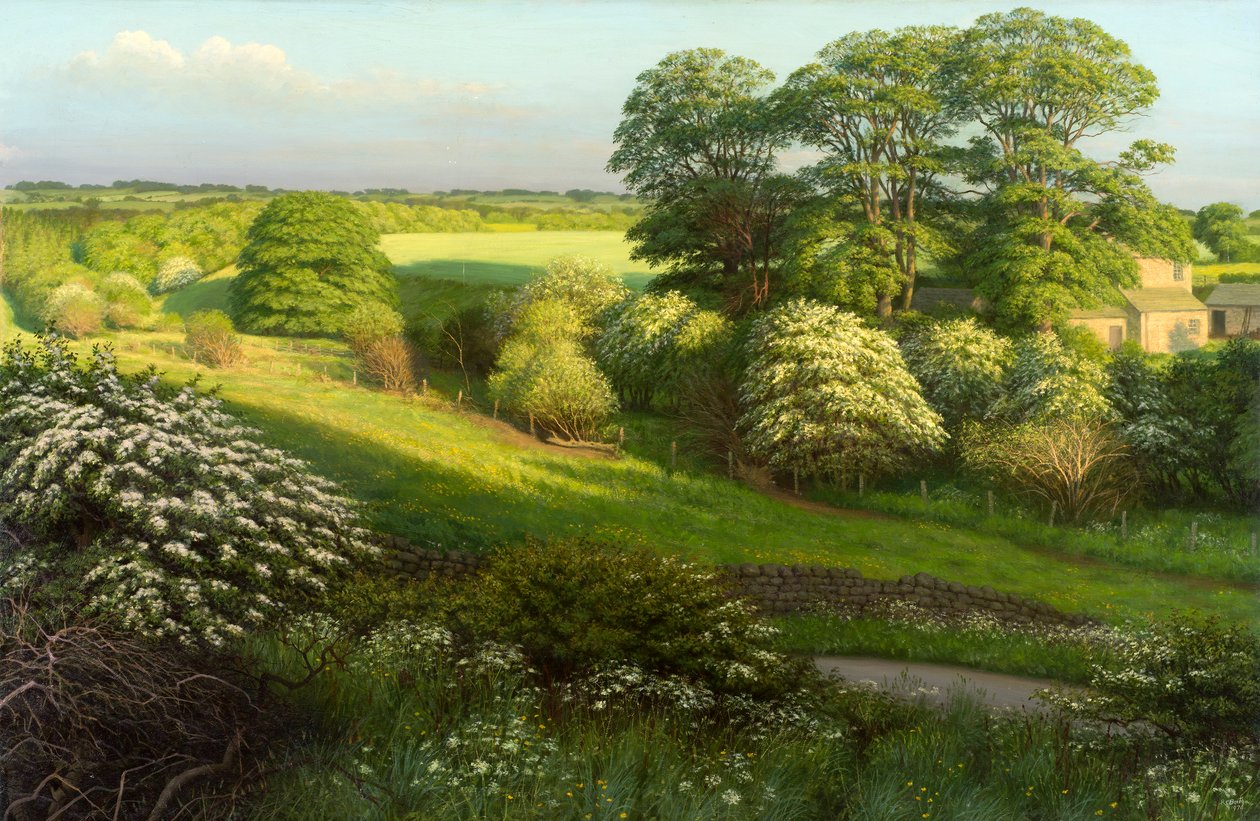 Krajina od Raymond Booth