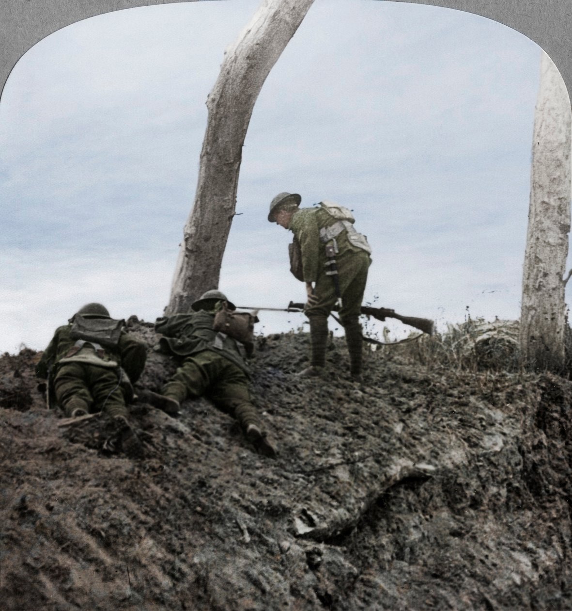 Bitva o Polygon Wood, poblíž Ypres, Flandry, Belgie, první světová válka, září 1917 od Realistic Travels Publishers