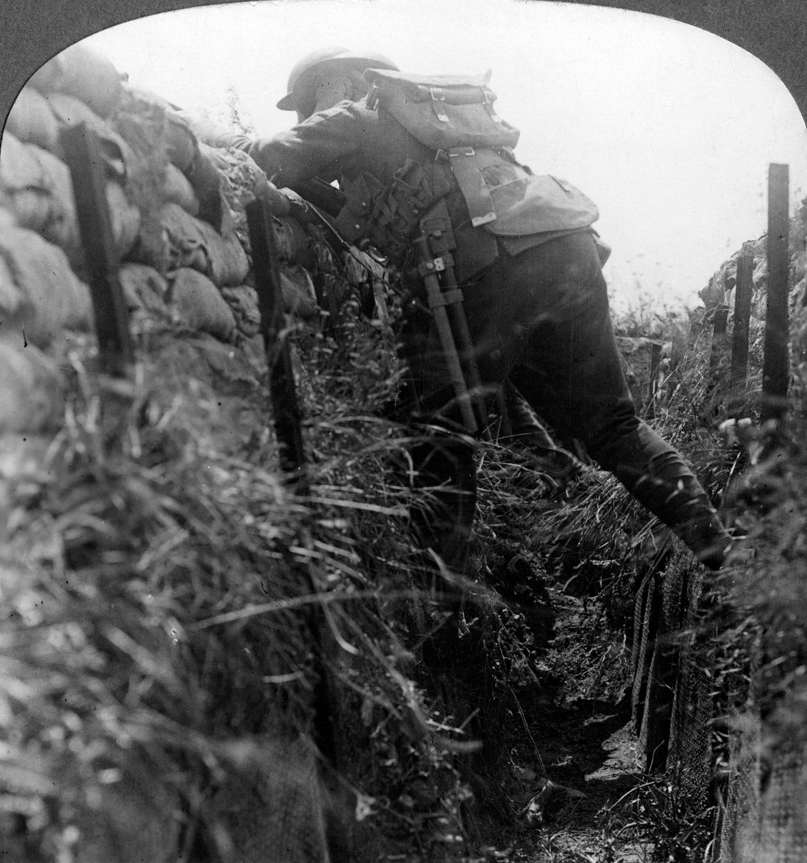 Kanadská pěchota v zákopech, první světová válka, 1914-1918. od Realistic Travels Publishers