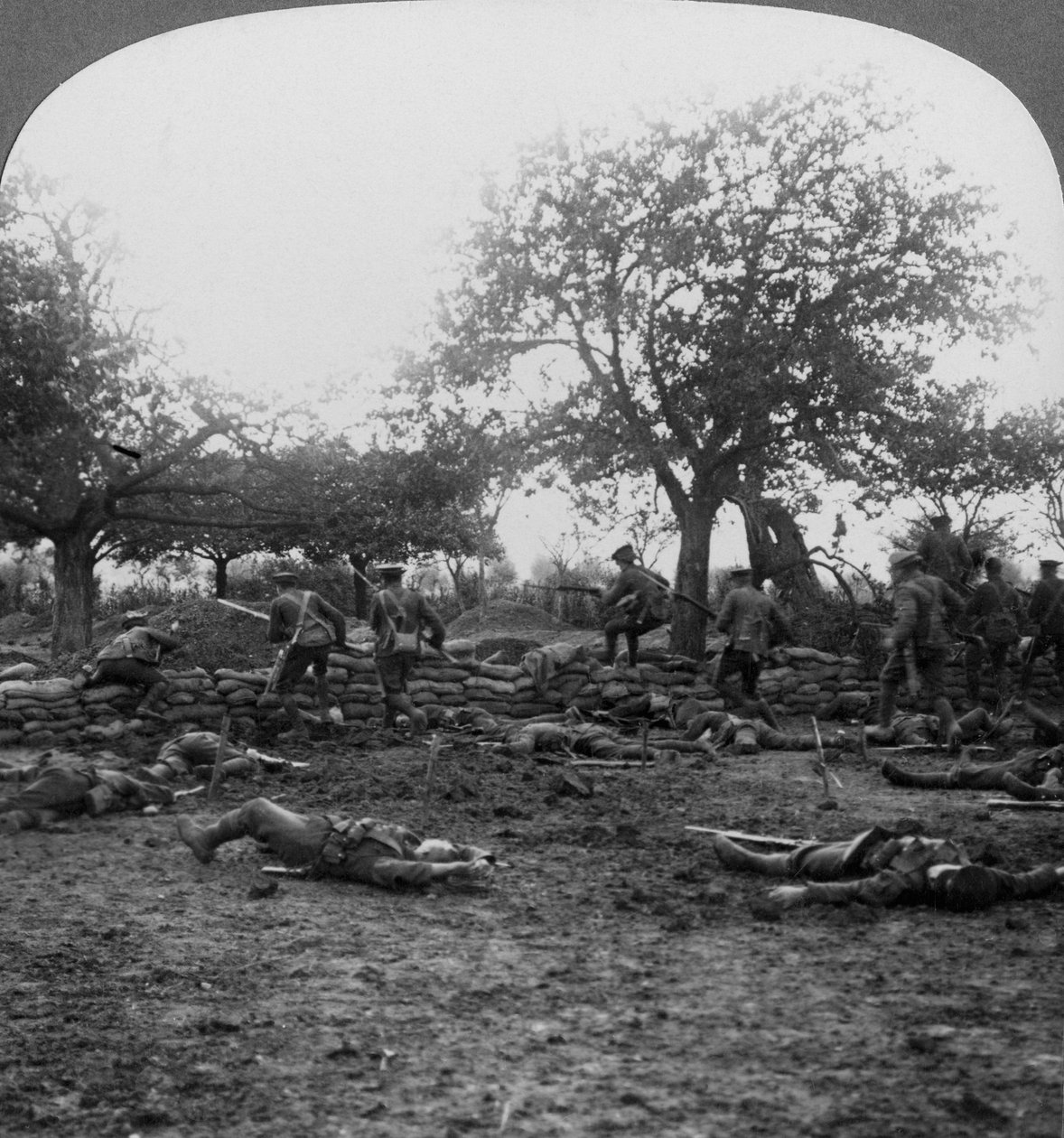 Scéna na bojišti první světové války, 1914-1918. od Realistic Travels Publishers