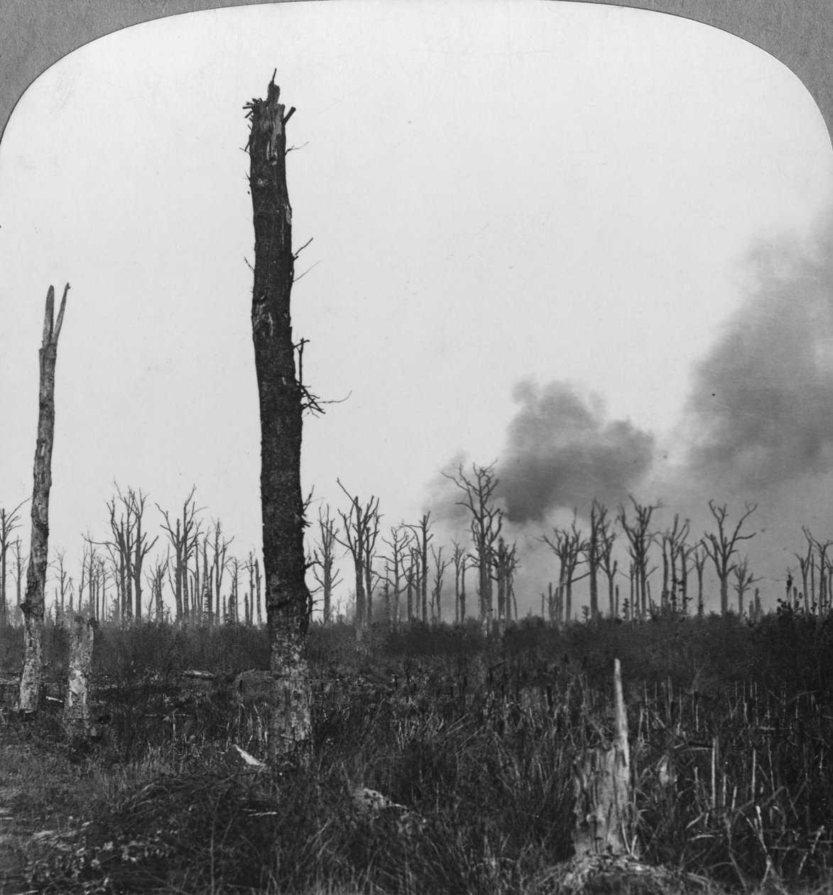 Vysoce výbušné granáty praskaly v Mametz Wood, Francie, první světová válka, 1916 od Realistic Travels Publishers