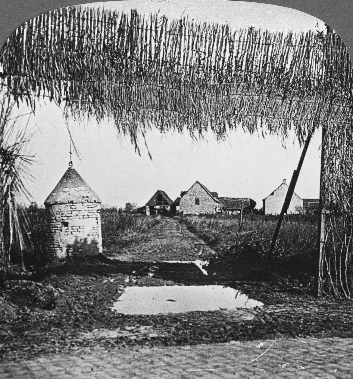 Důmyslná kamufláž, první světová válka, c1914-c1918. od Realistic Travels Publishers