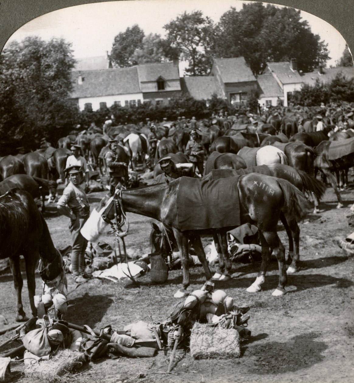 Vojska krmící své koně a odpočívající na pochodu, první světová válka, 1914-1918. od Realistic Travels Publishers
