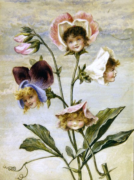Geranium & Sweet Pea - Květinové děti - pár (akvarel a tělová barva na papíře) od Rebecca Coleman