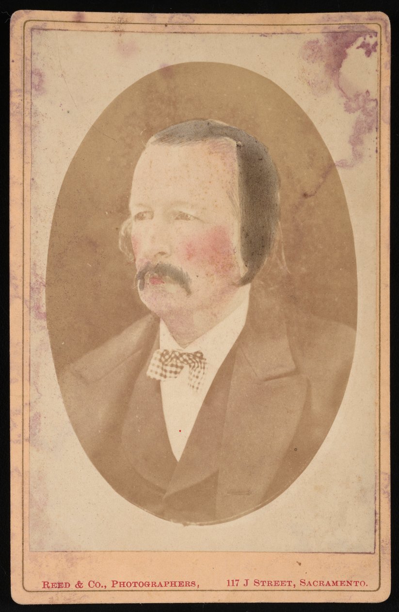 Portrét Dr. Thomase M. Logarda, 1873. od Reed and Co