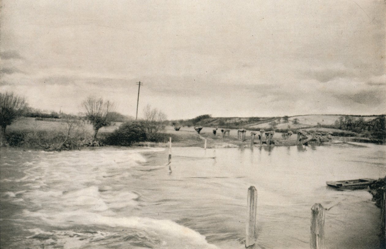 Řeka Avon, c1927, 1927 od Reginald Belfield