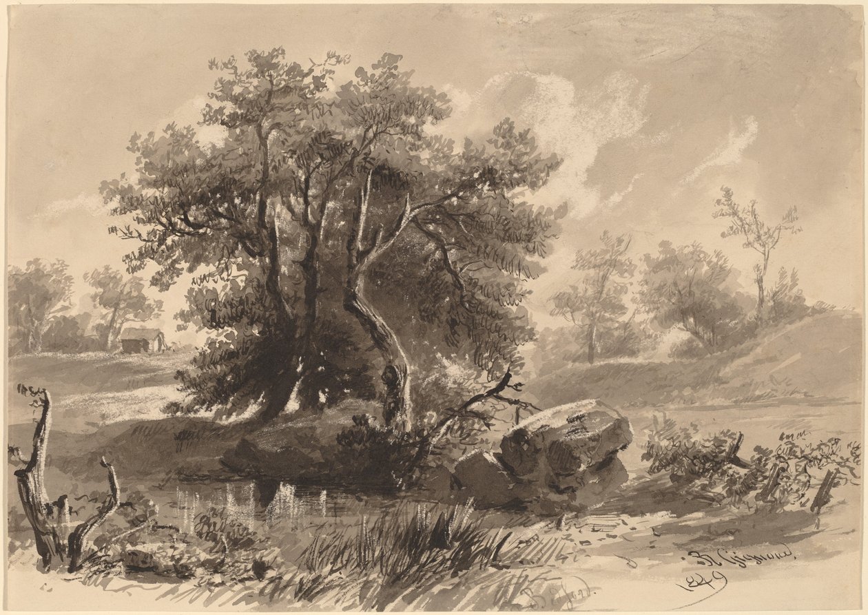 The Trees, Bedford, New York od Regis Francois Gignoux