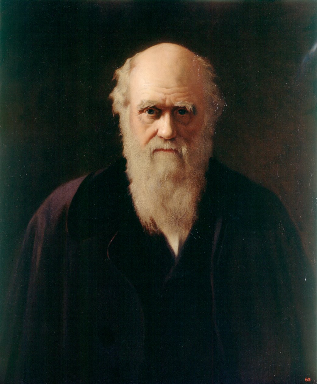 Charles Darwin (olej na palubě) od Reilly Reilly