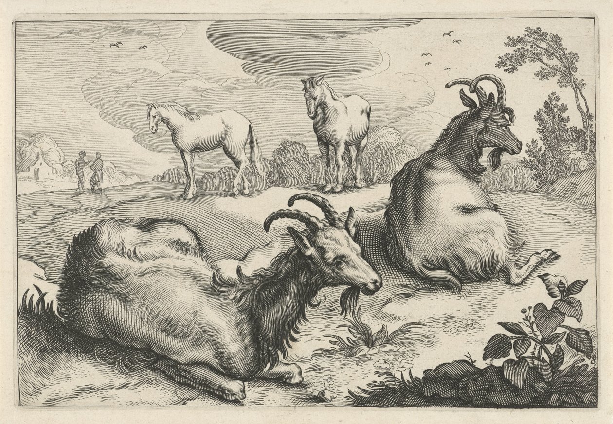Krajina se dvěma kozami a dvěma koňmi Diversa Animalia Quadrupedia (název série) od Reinier van Persijn