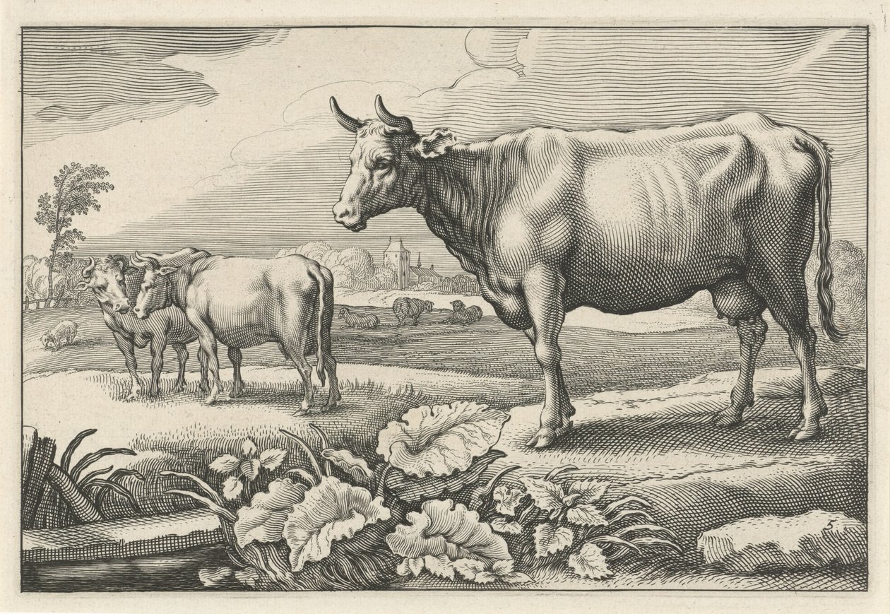 Pastviny s krávami Diversa Animalia Quadrupedia (název série) od Reinier van Persijn