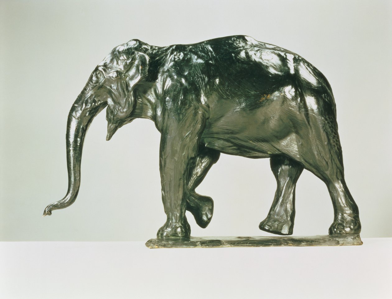 Bílý slon (bronz) od Rembrandt Bugatti