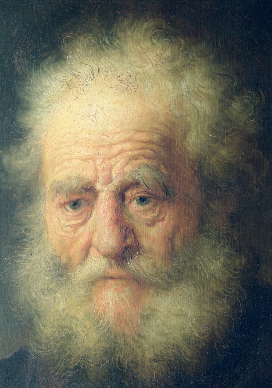 Busta starého muže se zlatým řetězem (detail) od Rembrandt van Rijn