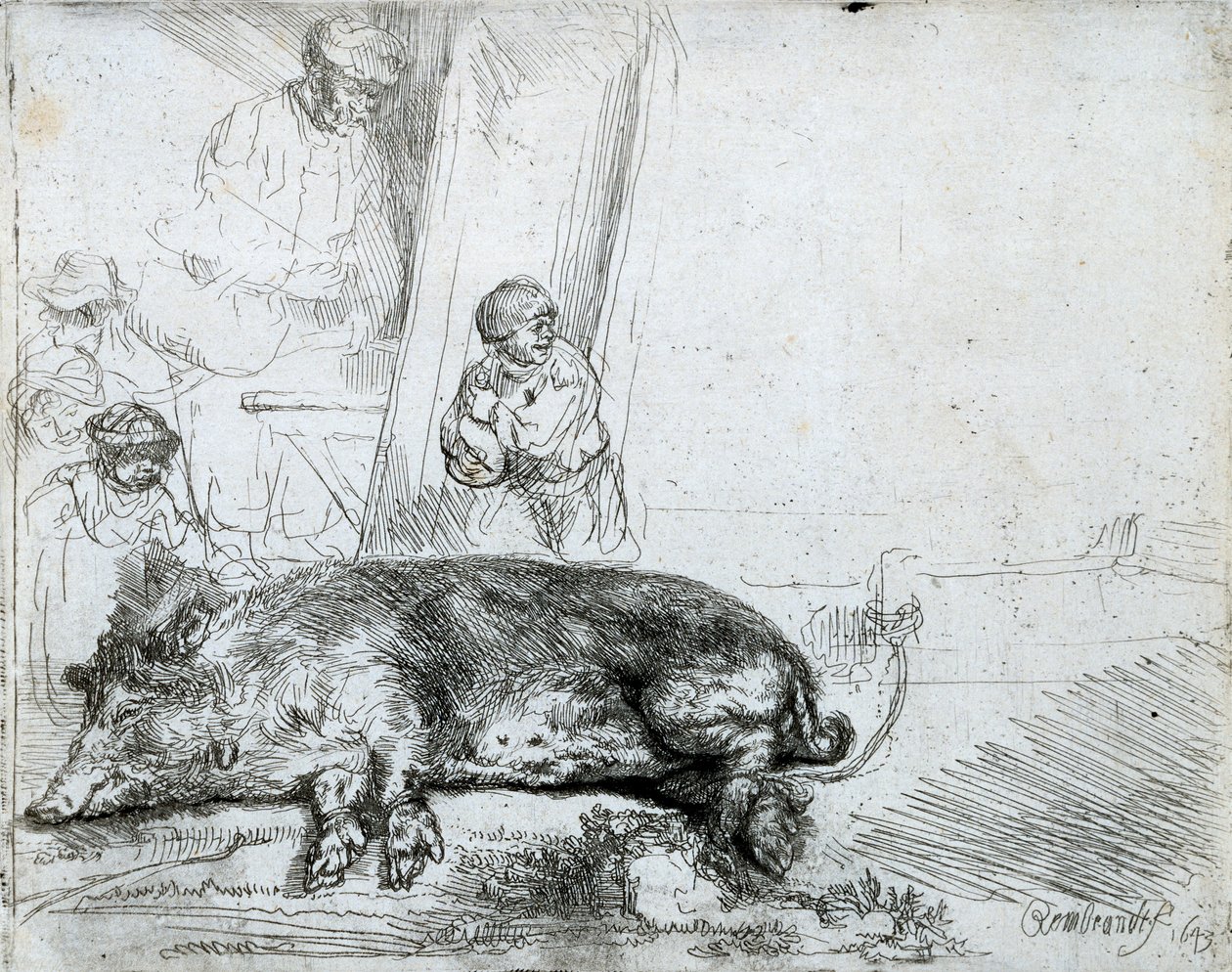 Prase, 1643 od Rembrandt van Rijn
