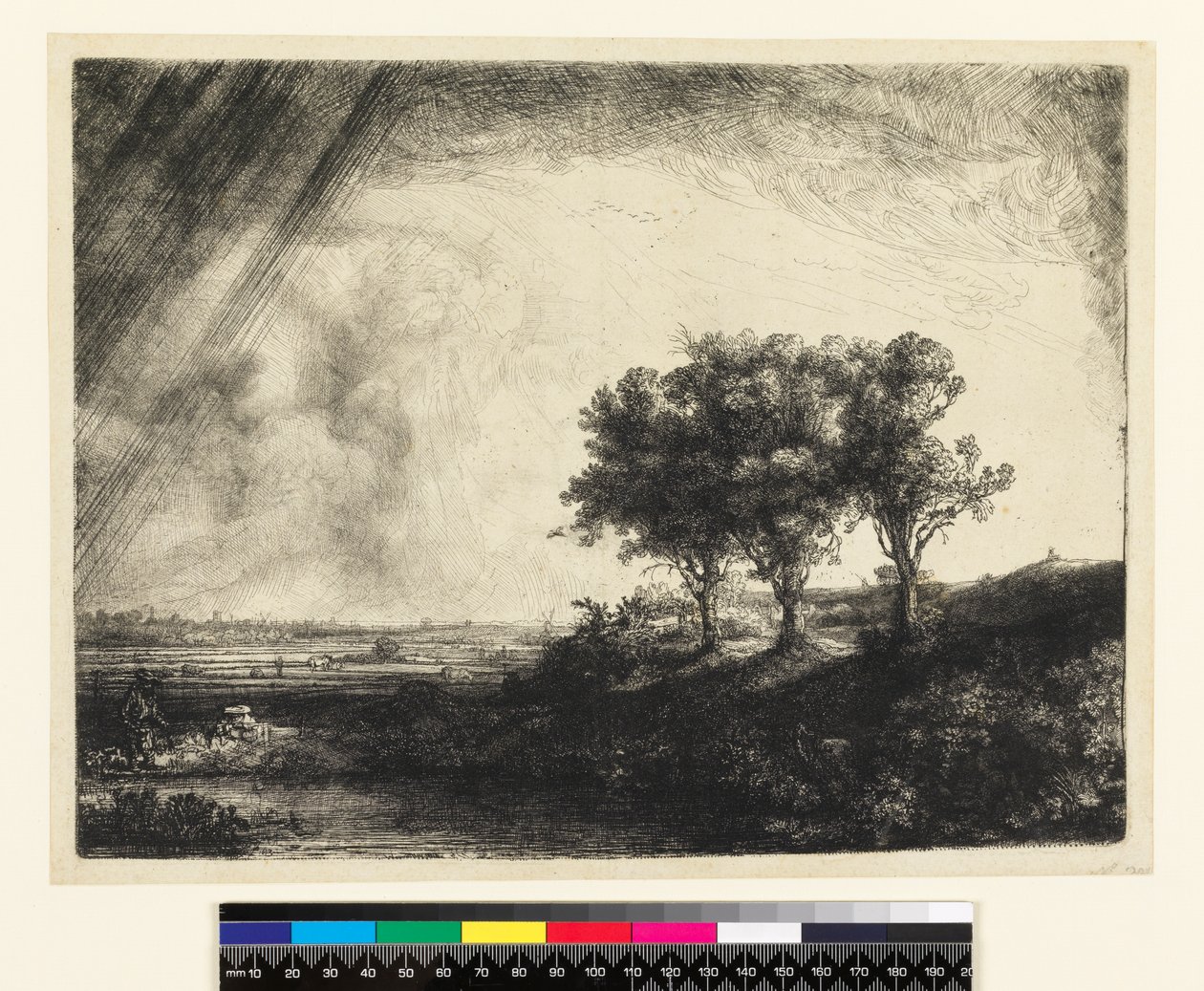 23.K5-292 Tři stromy od Rembrandt van Rijn