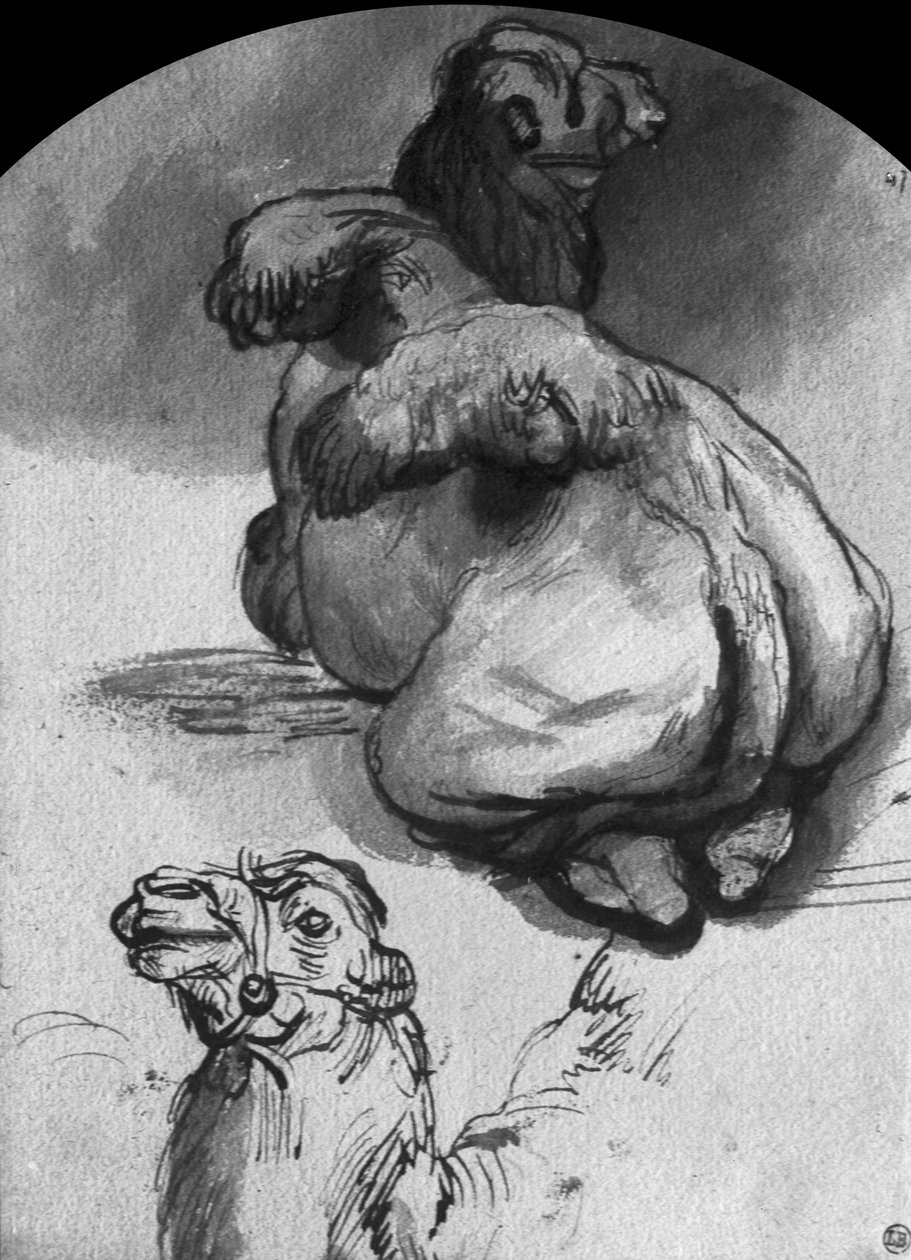 Velbloudi (pero a inkoust a mytí na papíře) od Rembrandt van Rijn