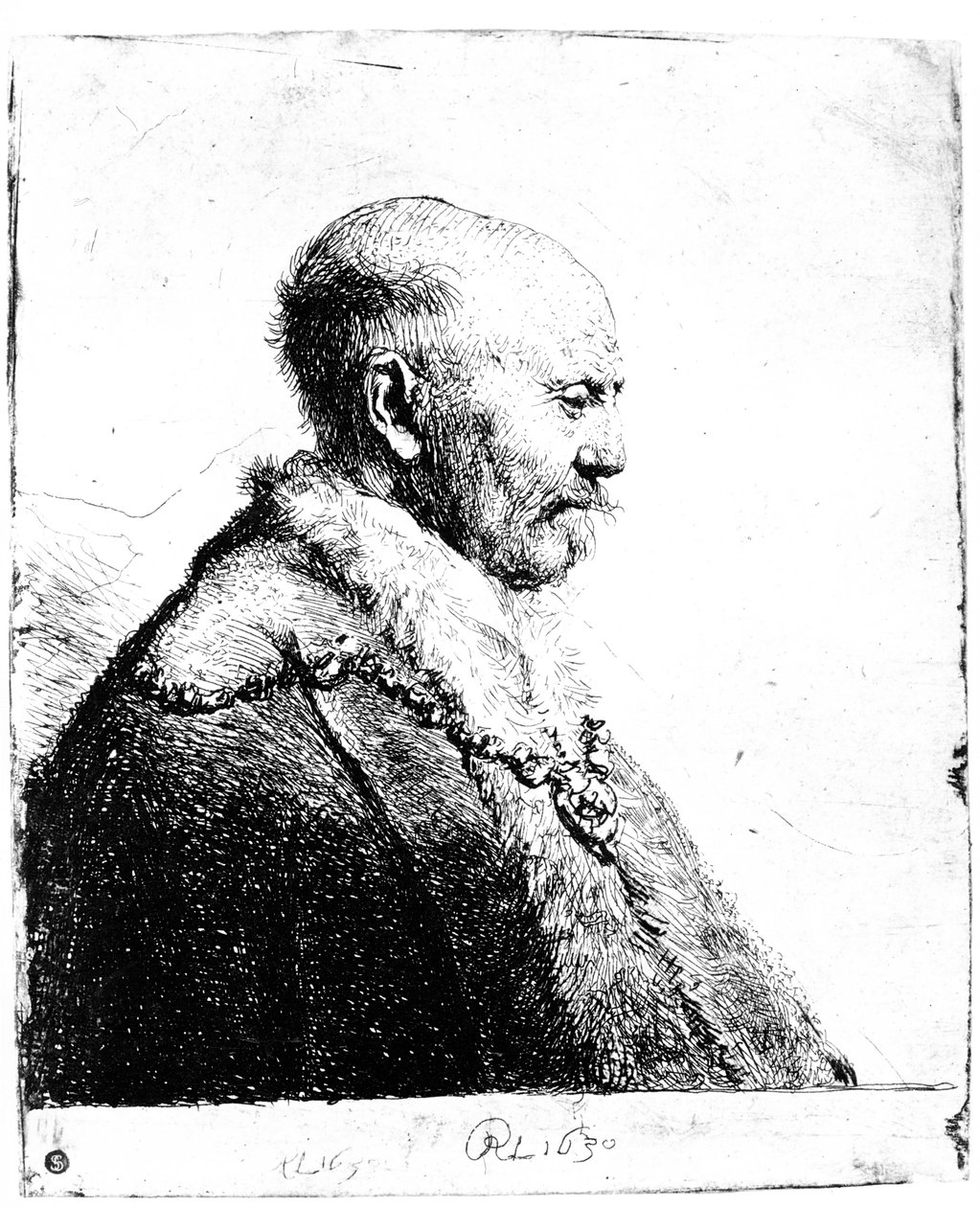 Portrét holohlavého muže, 1630 od Rembrandt van Rijn