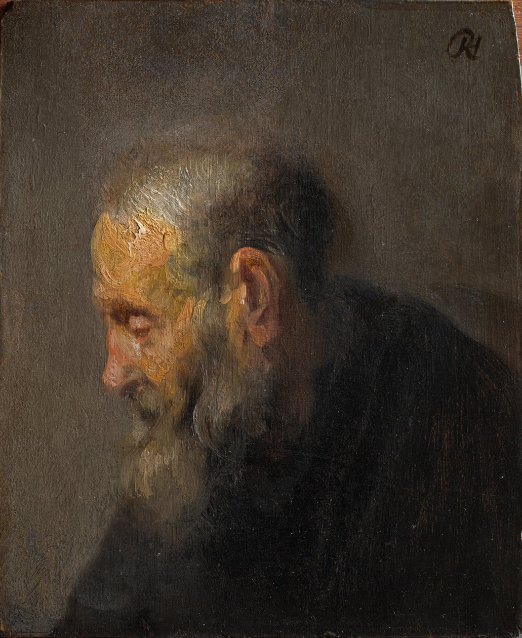 Studie starého muže z profilu od Rembrandt van Rijn