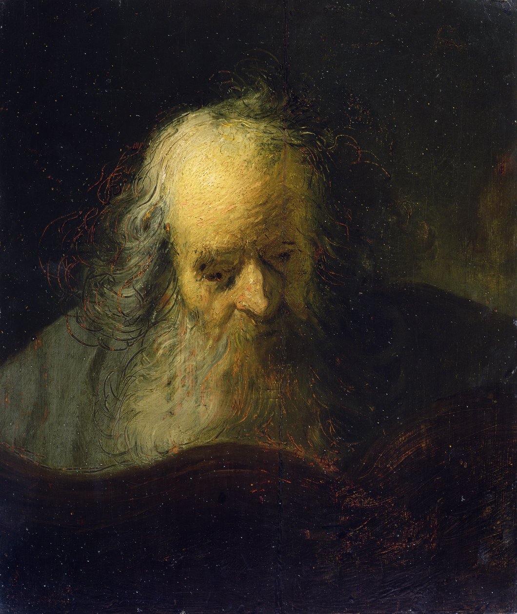 Starý muž čte knihu (olej na plátně) od Rembrandt Harmensz. van Rijn (circle of)