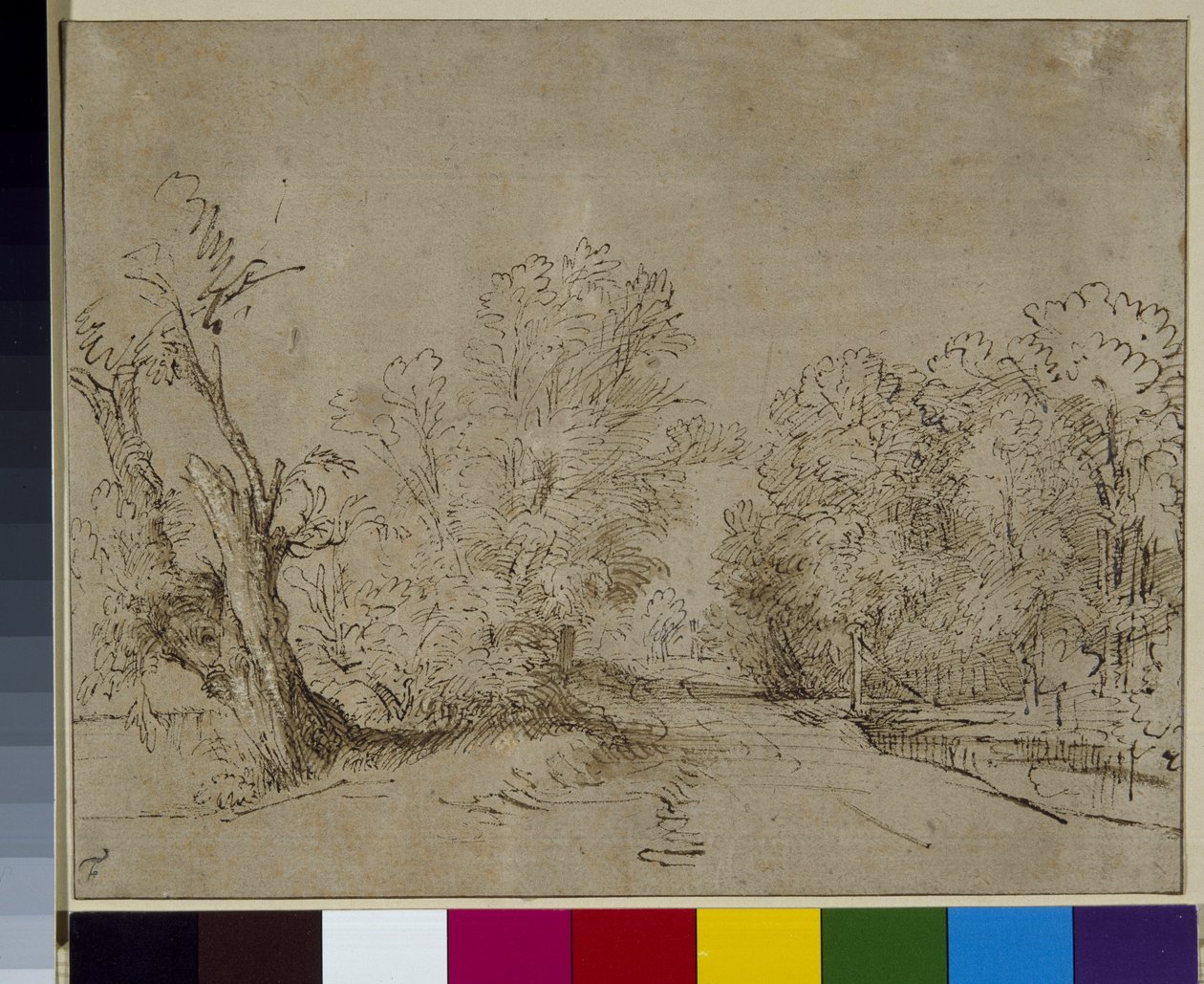 Lesní cesta, cca 1650 (pero a inkoust na papíře) od Rembrandt Harmensz. van Rijn