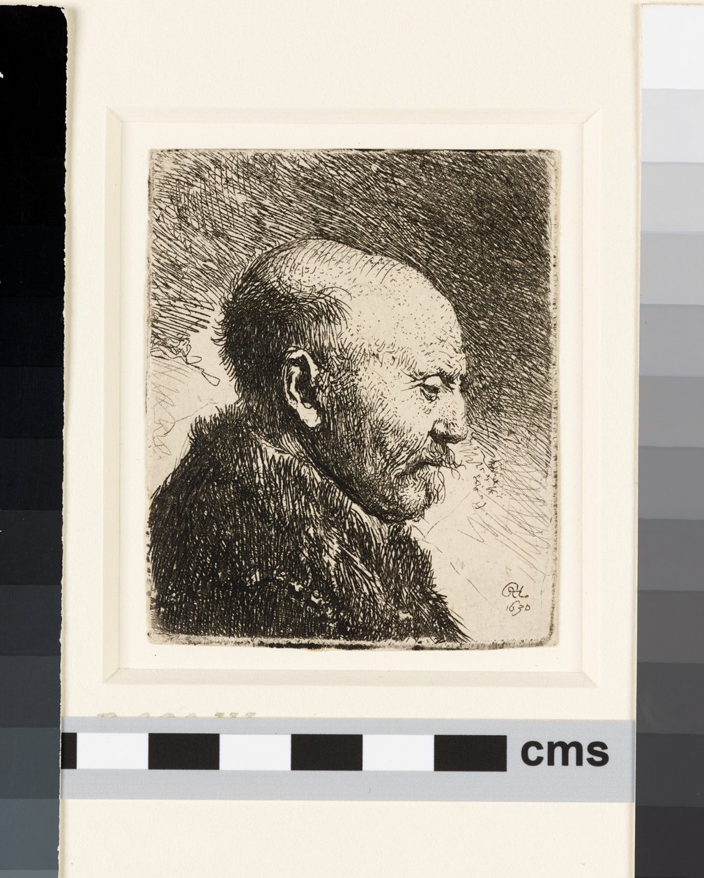 Holohlavý muž z profilu vpravo: Rembrandtův otec? od Rembrandt van Rijn