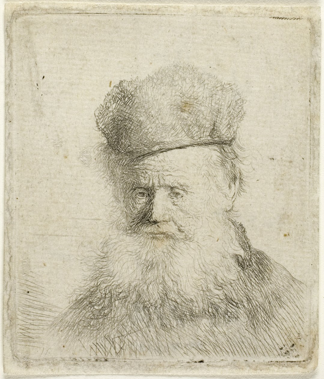 Busta starého muže s kožešinovou čepicí a tekoucí vousy, c.1631 (leptání na papíře) od Rembrandt Harmensz. van Rijn