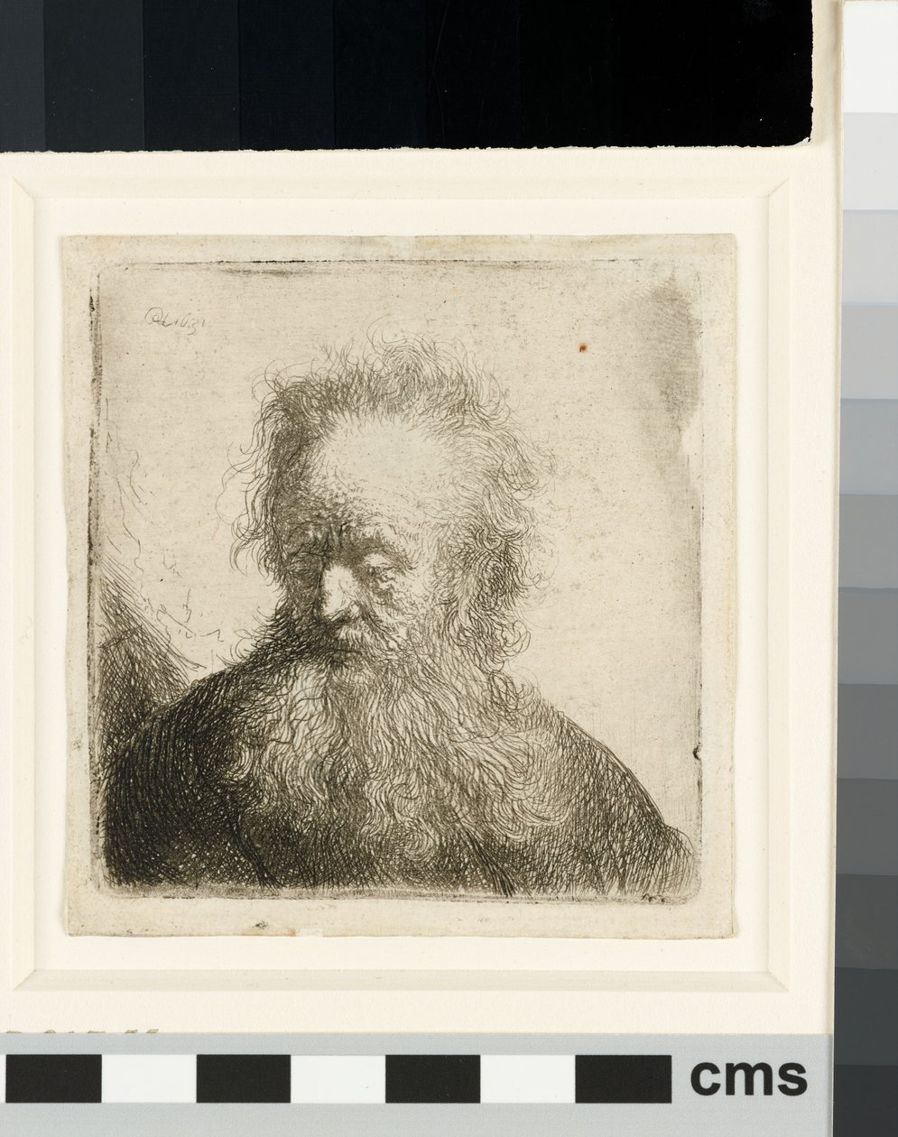 Starý muž s vlajícím plnovousem: poprsí od Rembrandt van Rijn