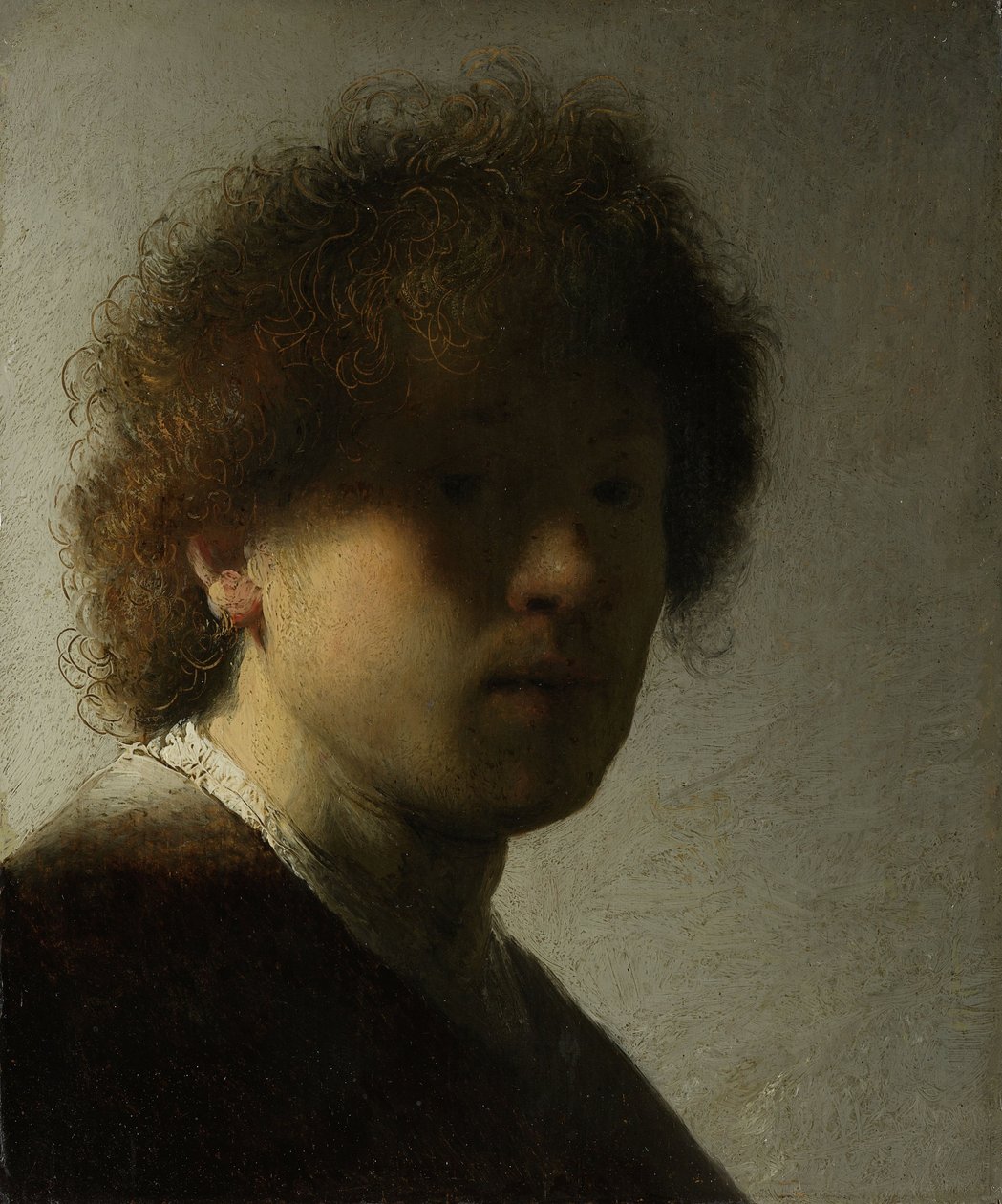 Autoportrét jako mladý muž, cca 1628 (olej na panelu) od Rembrandt van Rijn