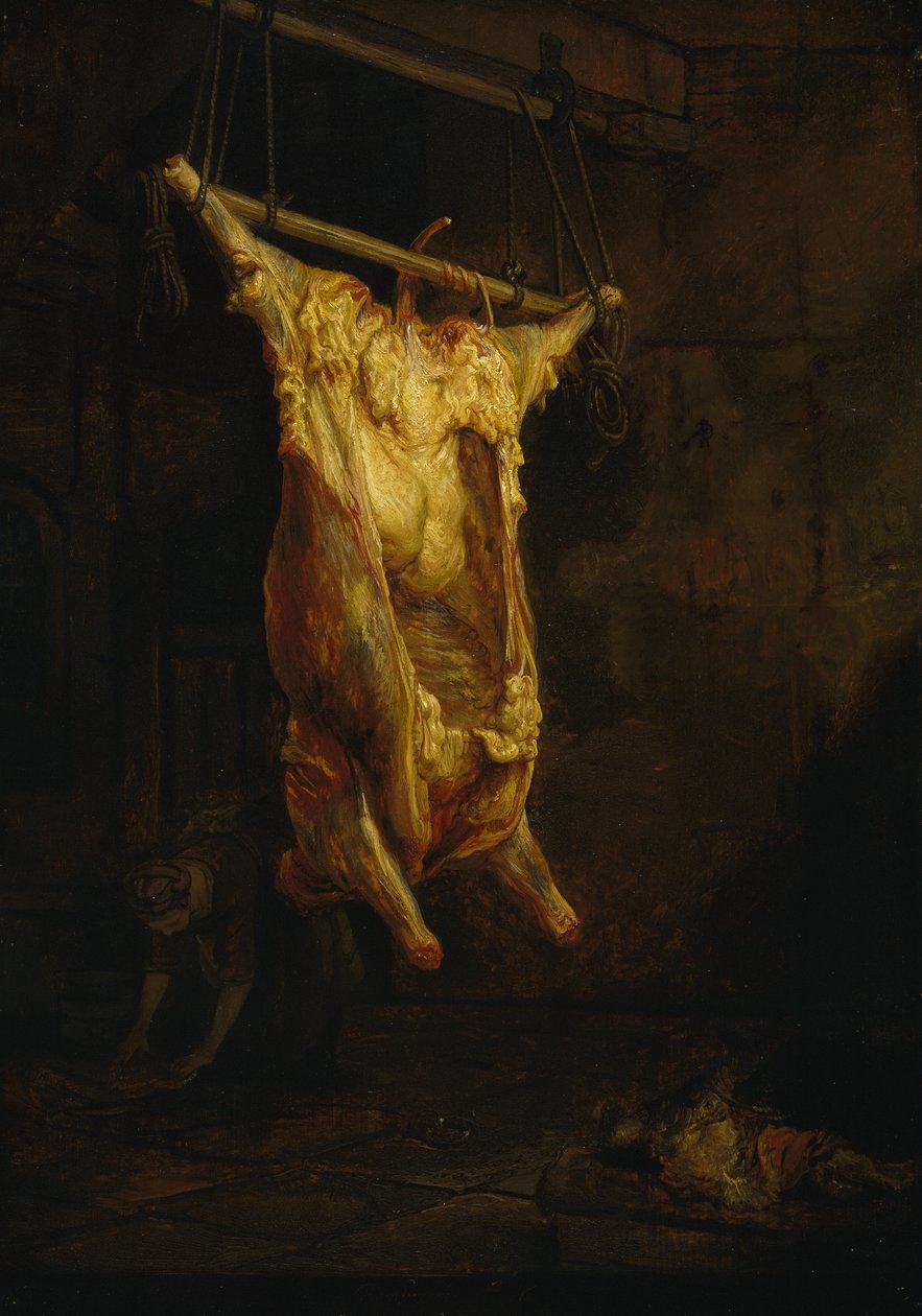 Mrtvola vola, konec 1630 (olej na panelu) od Rembrandt Harmensz. van Rijn