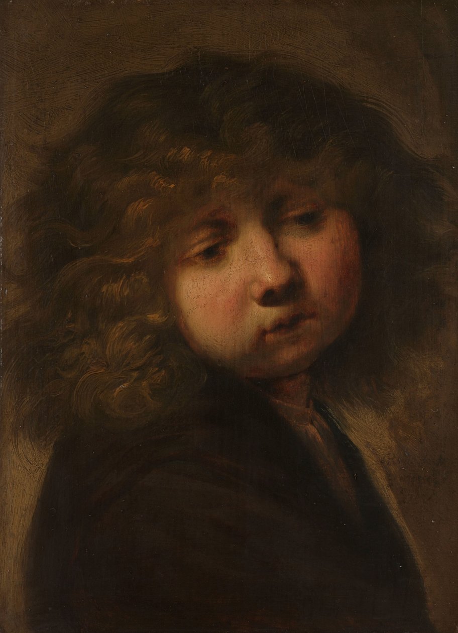 Hlava chlapce od Rembrandt van Rijn (circle of)