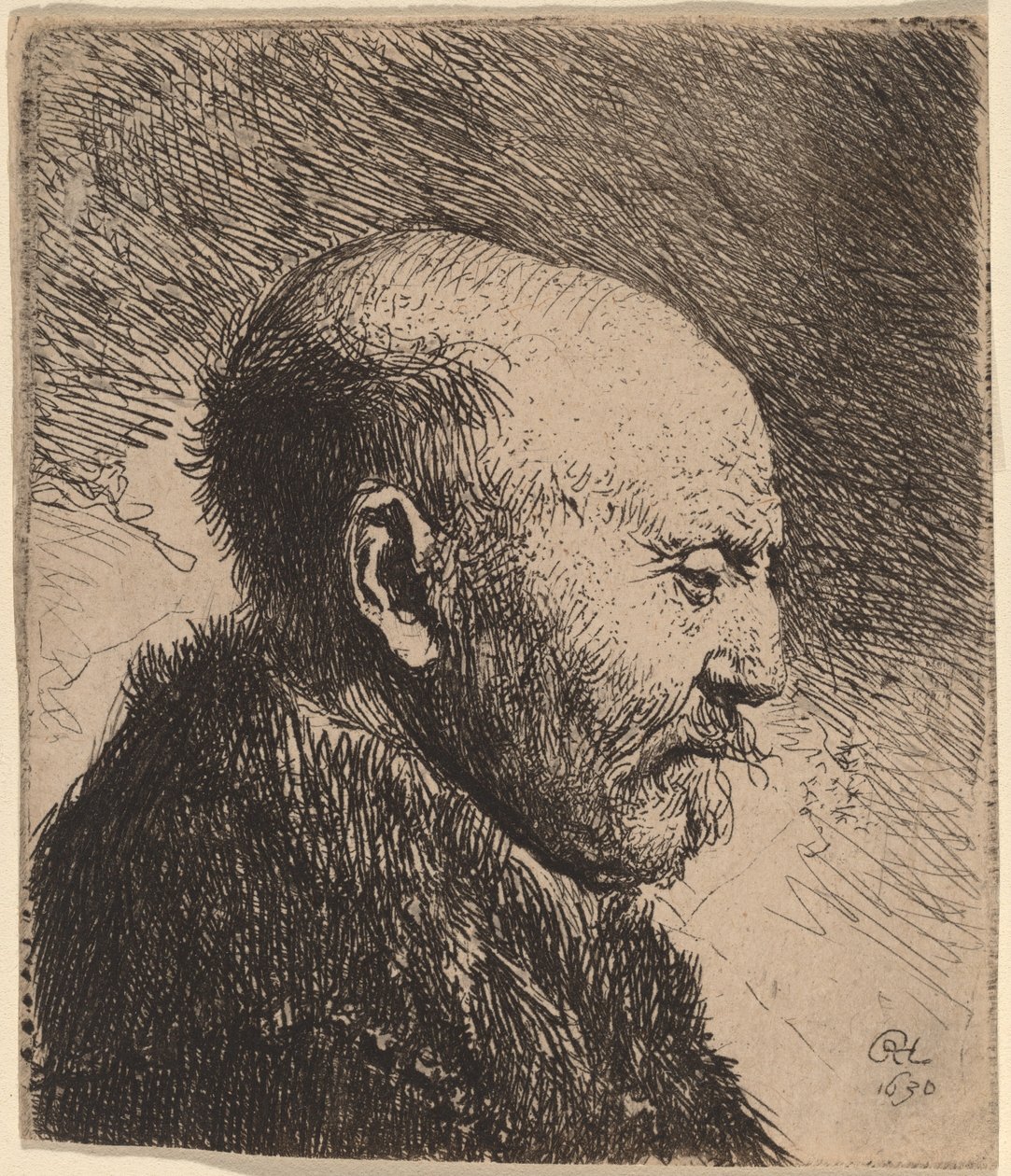 Plešatý muž z profilu (Umělcův otec?) od Rembrandt van Rijn