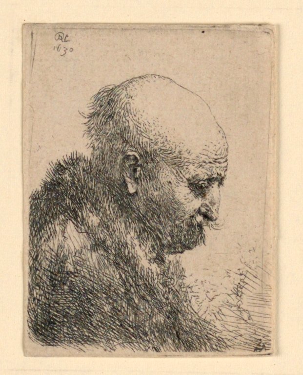 Holohlavý muž z profilu vpravo: Malé poprsí; Umělcův otec? od Rembrandt van Rijn