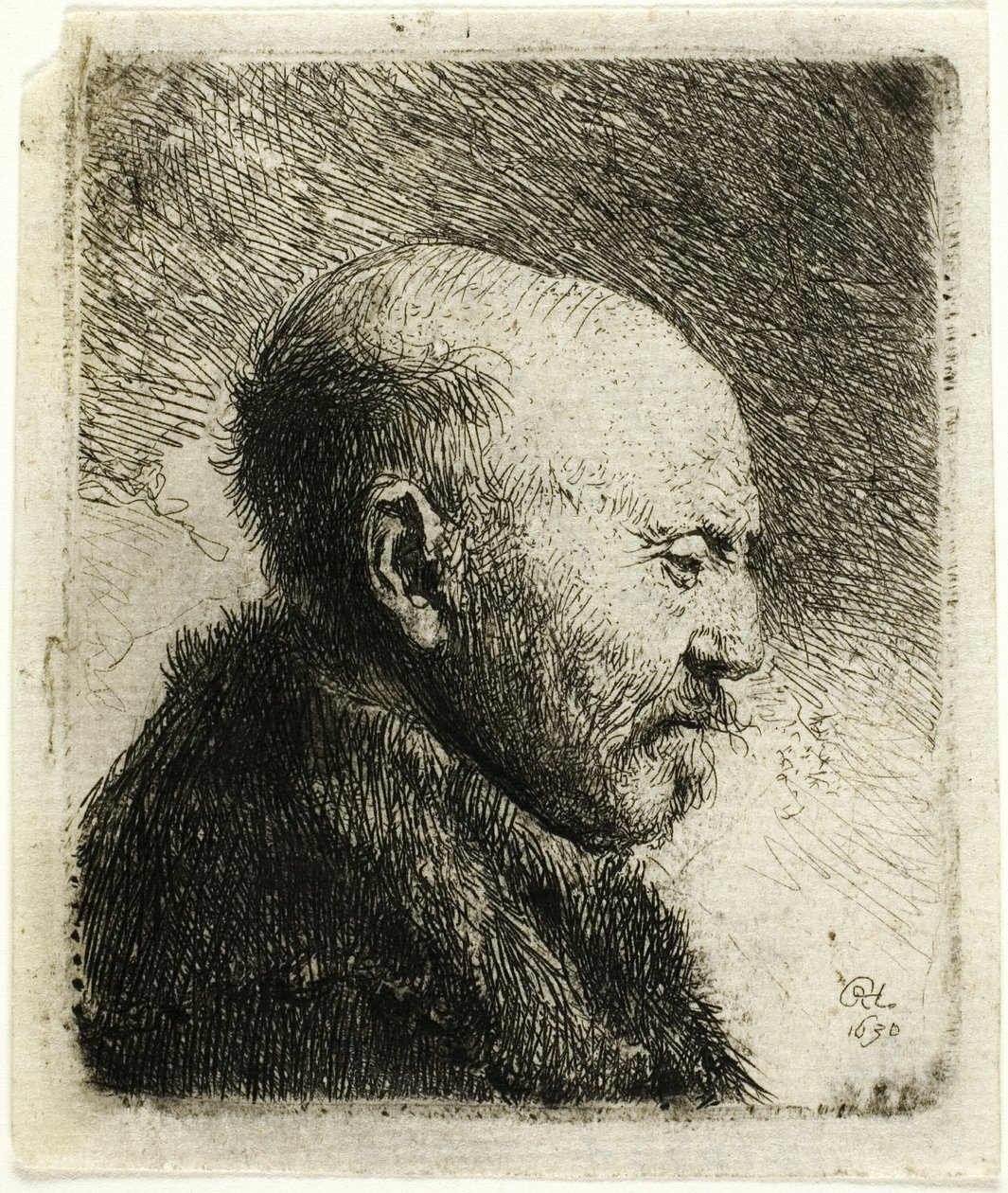 Plešatý muž z profilu vpravo: Umělcův otec () od Rembrandt van Rijn