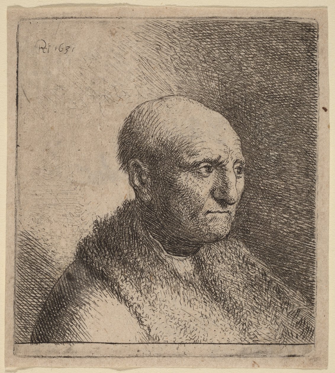 Plešatý muž v kožešinovém plášti od Rembrandt van Rijn
