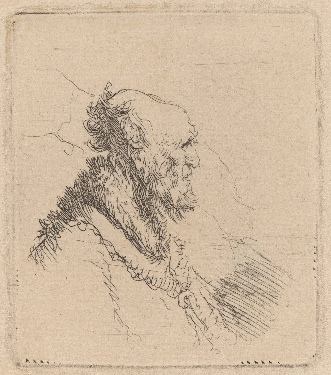 Holohlavý starý muž s krátkým plnovousem v profilu od Rembrandt van Rijn