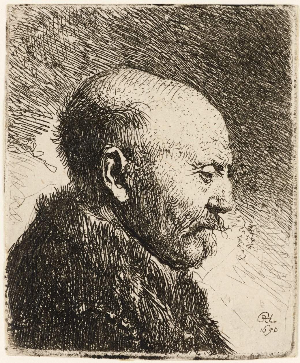 Holohlavý muž z profilu vpravo: Rembrandtův otec 1630. od Rembrandt van Rijn