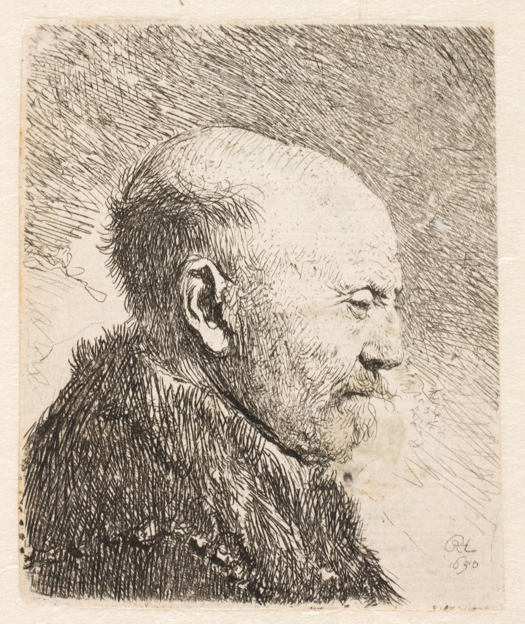 Plešatý muž z profilu (Rembrandtův otec?) od Rembrandt van Rijn